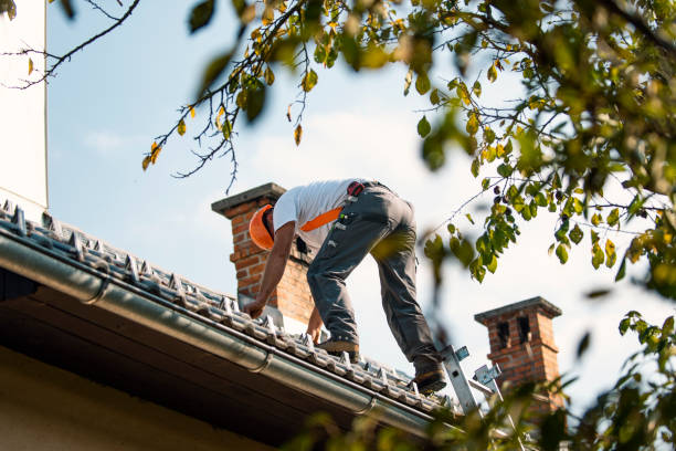 Best Roof Gutter Cleaning  in Grottoes, VA